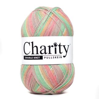 Charity Double Knit 300g Print Colours