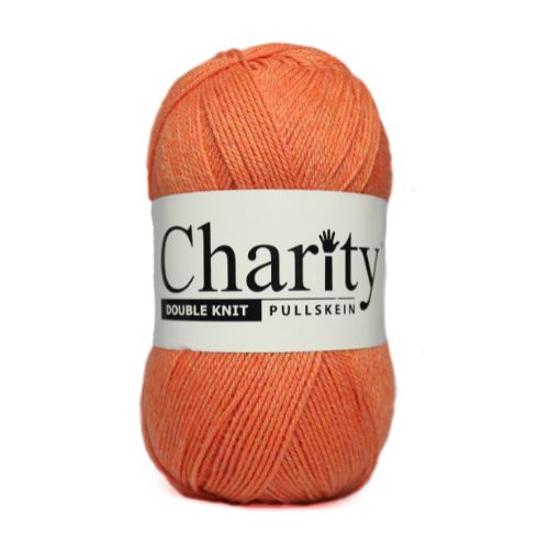 Charity Double Knit 300g