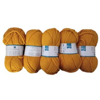 Limited Edition Chunky - Colour 021 (5 x 100g Packet)