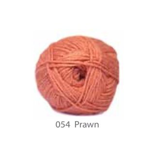 Elle Pullskein – Prawn
